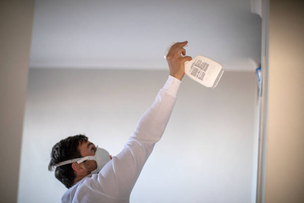 Best Fast Mold Removal  in Ocean Grove, MA